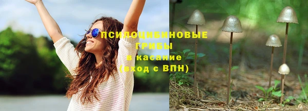 мдпв Дмитриев