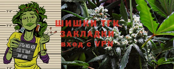 мдпв Дмитриев