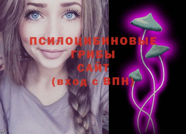 мдпв Дмитриев