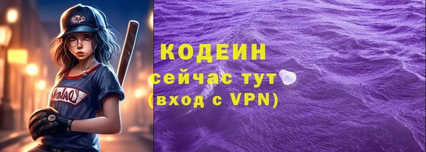 мдпв Дмитриев