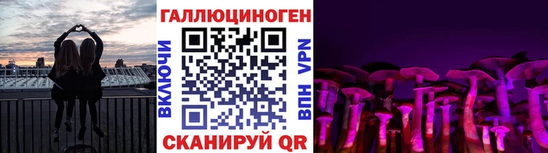 Купить закладки Великий Устюг Псилоцибиновые грибы Psilocybine cubensis
